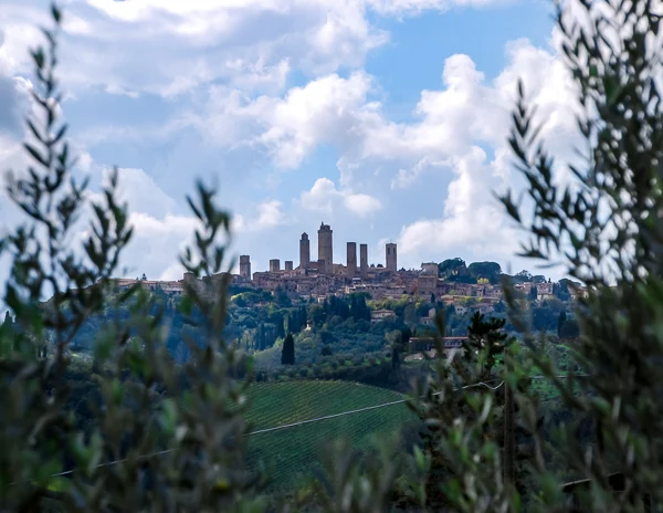 view of pienza towers from winery