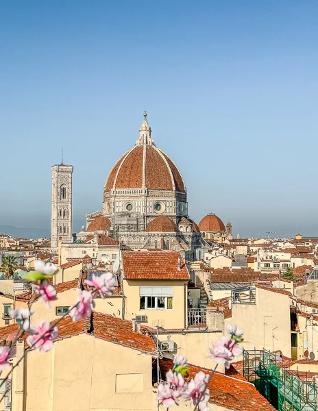 skyline view of the duomo of florence