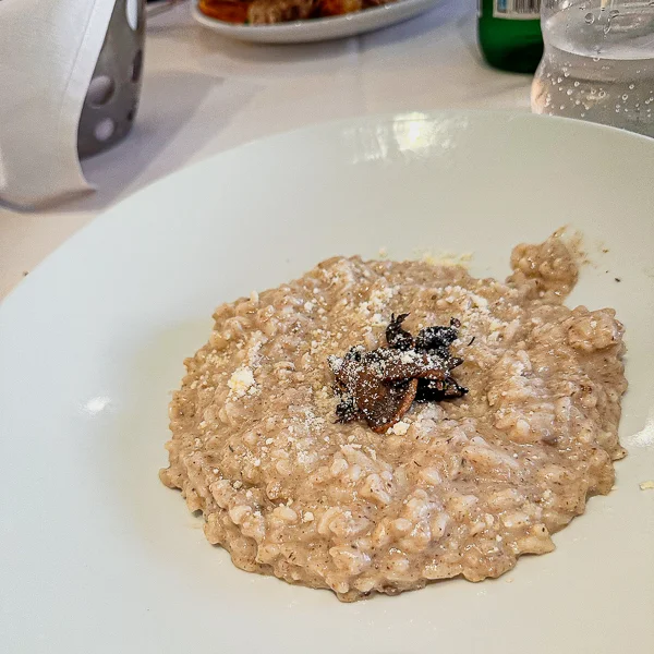 Mushroom Risotto