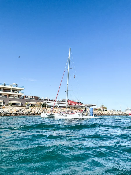catamaran with sunbathers and snorkelers in cabo san lucas