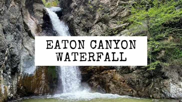 Eaton Canyon Falls Hike: A Guide to Chasing a Waterfall in Pasadena