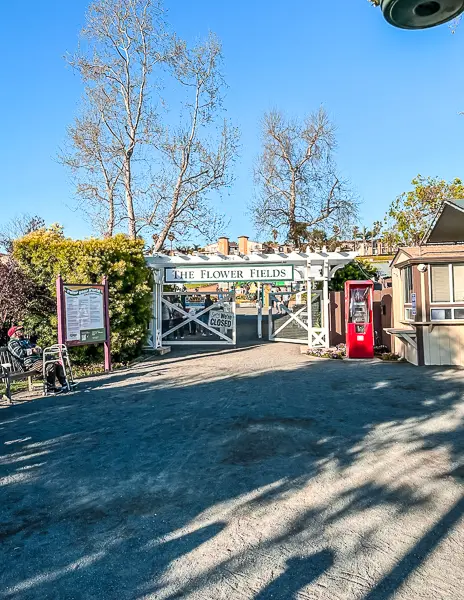 the entrance to the flower fields by armstrong