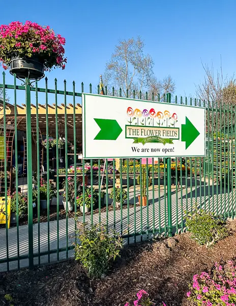 the flower fields sign by armstrong pointing to the entrance