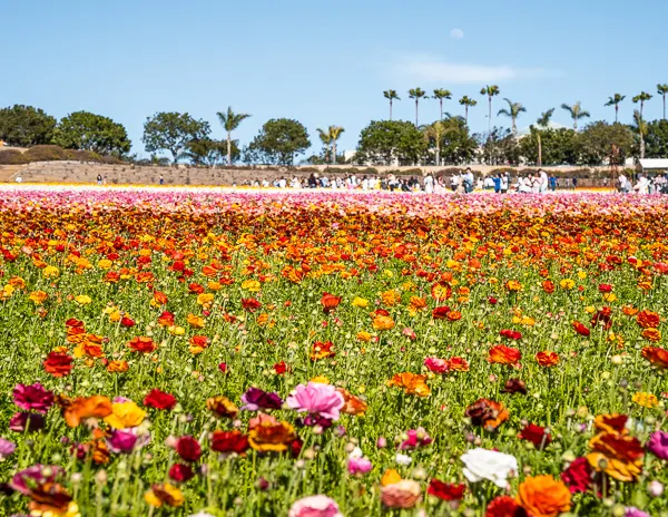 day trips in los angeles