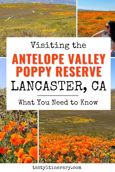 pinterest marketing pin | Lancaster poppy fields