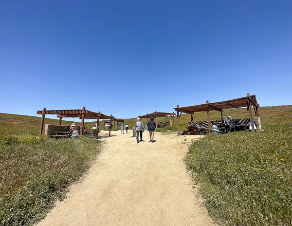 picnic tables at the antelope valley poppy reserve