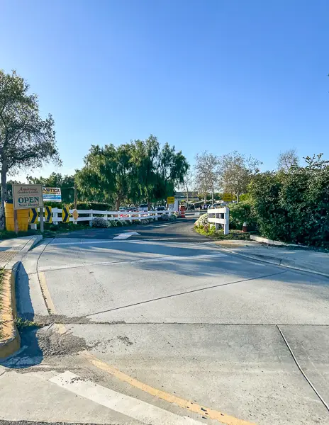 Entrance to The Flower Fields parking lot in Carlsbad, California, featuring a curved driveway, white fences, trees, and signs indicating the attraction is open.
