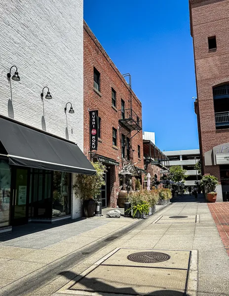 Back alley view of Old Pasadena with brick buildings, showcasing retail stores like Sushi Roku and potted plants along the sidewalk.