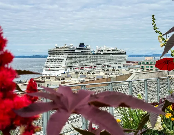 norwegian encore docked at pier 66 in seattle