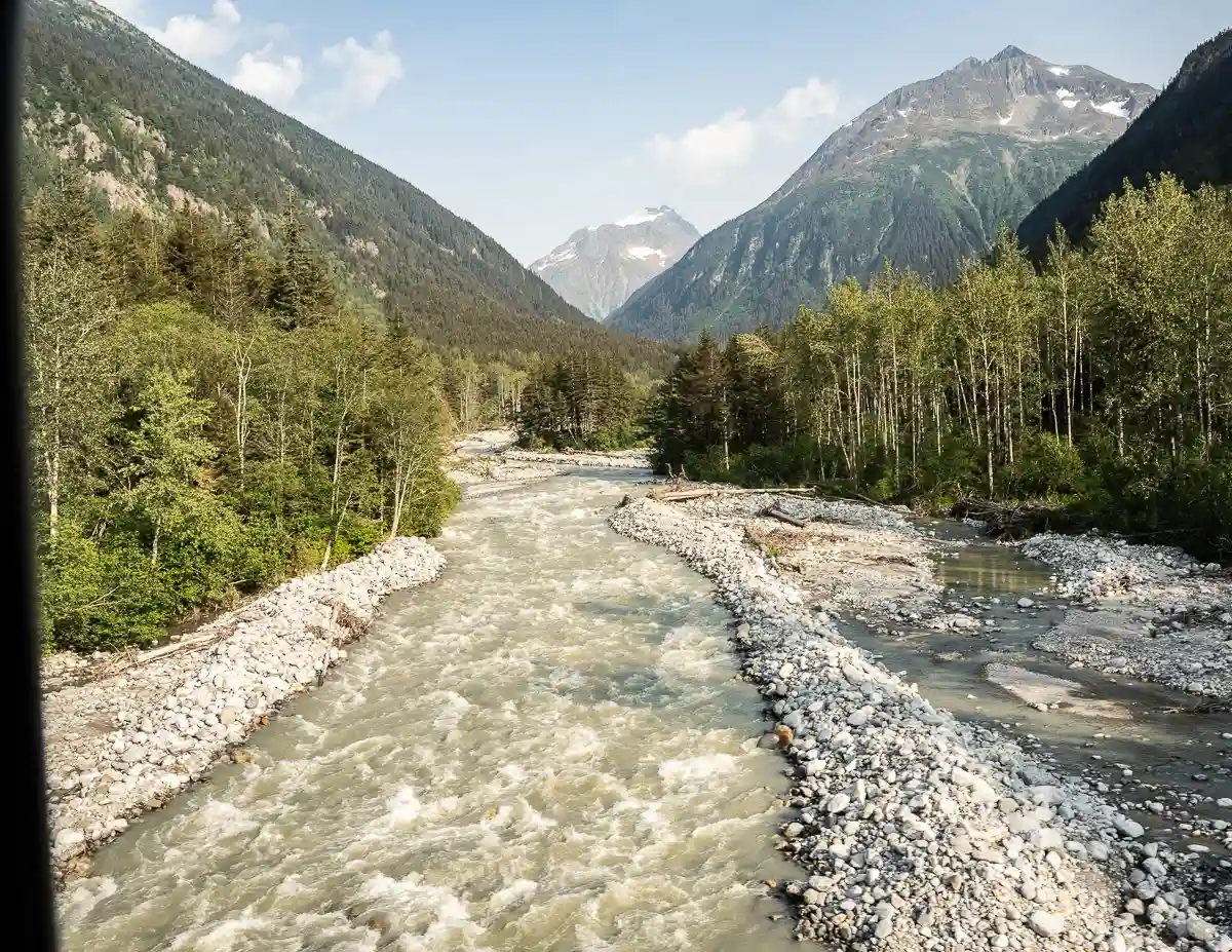 View from the White Pass Railway showing a turbulent, glacier-fed river flowing through a rocky channel, flanked by dense forests and towering mountains, as seen from a train window in Alaska.