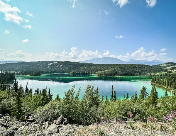 Stunning view of Emerald Lake in Yukon, showcasing its vibrant turquoise waters surrounded by lush forests and distant mountains under a bright blue sky, with pink wildflowers in the foreground.