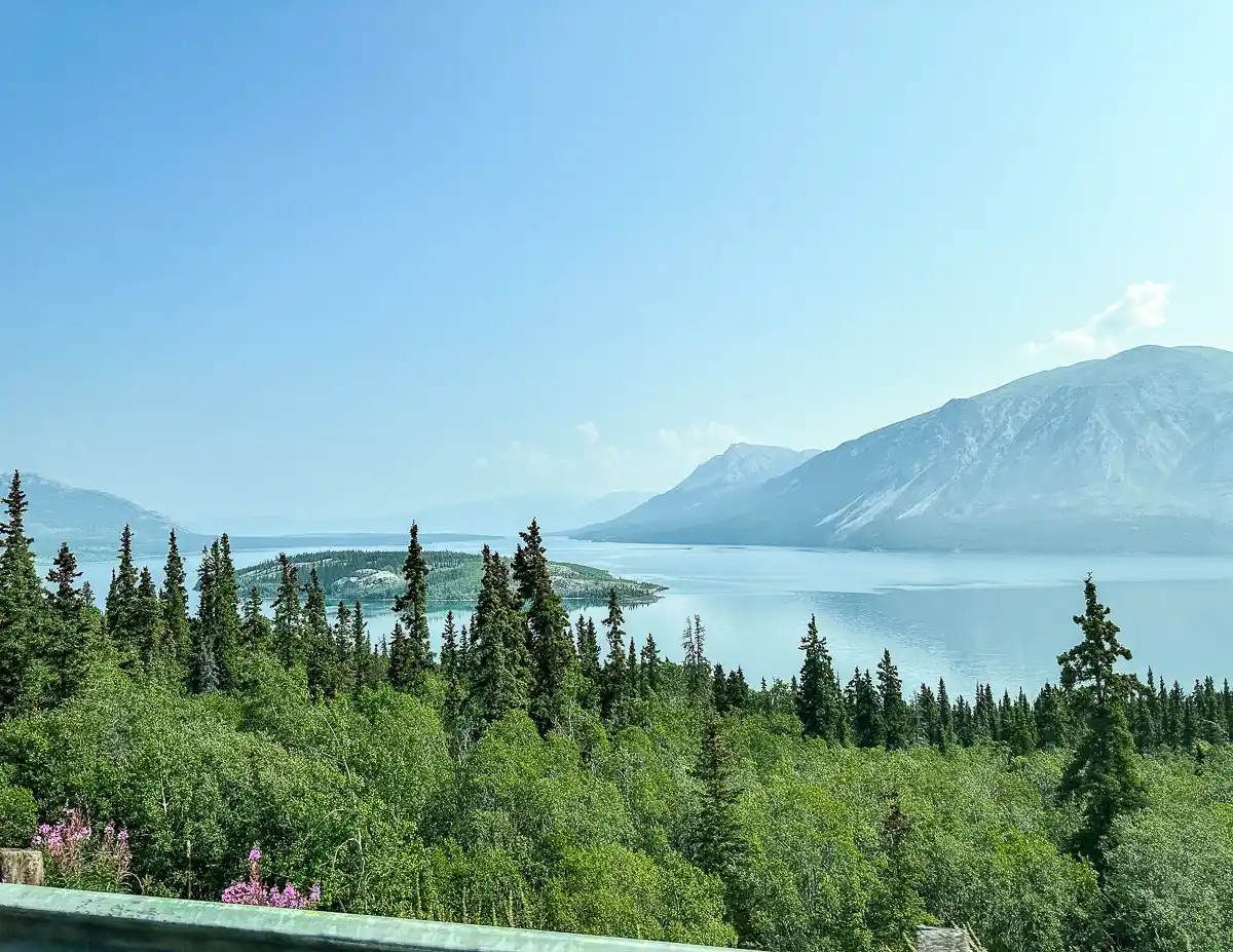 Scenic view from a bus in Skagway, Alaska, overlooking a vast lake with a small island, surrounded by dense forests and towering mountains under a clear blue sky.