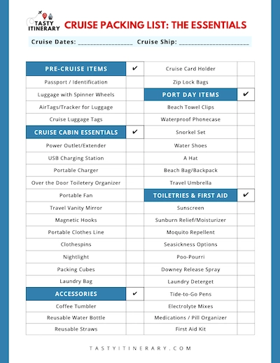 cruise travel necessities