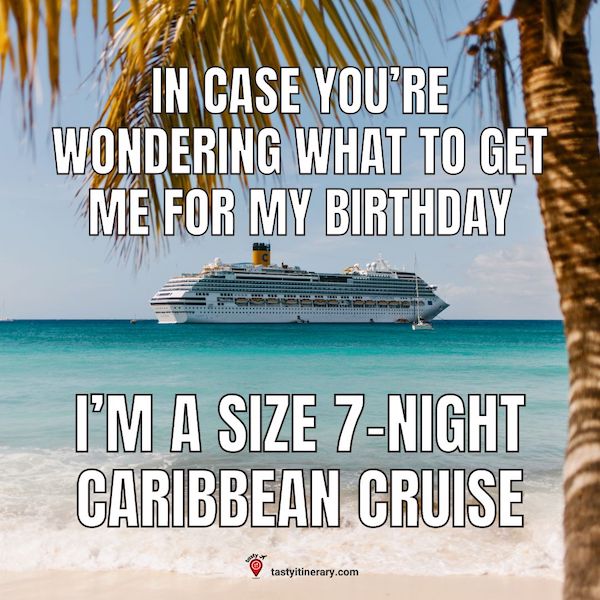 graphic meme with a palm tree framing a cruise ship at sea with the words: In case you’re wondering what to get me for my birthday... I’m a size 7-night Caribbean Cruise