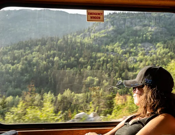 kathy sitting by window on white pass train in skagway enjoying the views
