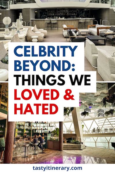pinterest marketing pin | celebrity beyond things we loved and hated