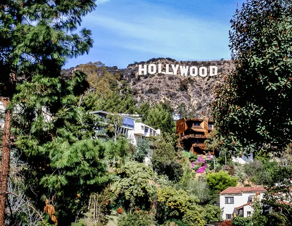 This image beautifully captures the iconic Hollywood Sign viewed from a residential area nestled in the hills. Surrounded by lush greenery and diverse architectural styles, the houses in the foreground provide a stark contrast to the famous white letters set against the hillside. 