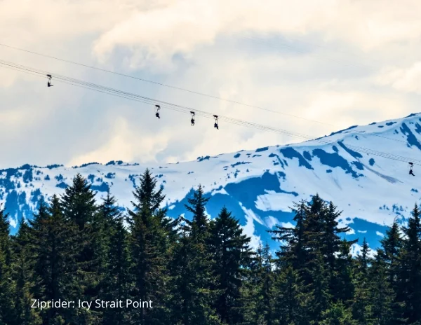 Riders on the ZipRider descending the snowy mountain at Icy Strait Point, Alaska, with forested trees below and multiple zipline cables visible.