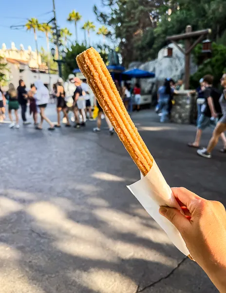 Hand holding a classic cinnamon sugar churro at Disneyland with people walking in the background.