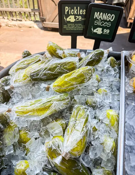 disneyland pickles