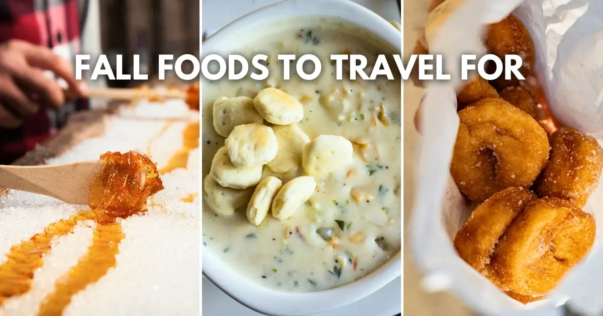 featured blog image: Collage of fall foods including maple taffy, clam chowder with oyster crackers, and a bag of apple cider donuts with text overlay "Fall Foods to Travel For".