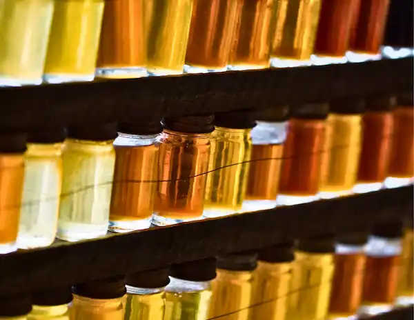Glass jars of maple syrup in varying shades of amber displayed in the window of a Vermont sugarhouse.