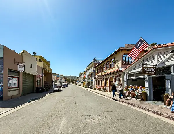 Street in Avalon, Catalina Island, with NDMK Fish House on the corner and people waiting outside, lined with colorful buildings and American flags.