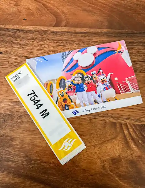 Disney Cruise Line luggage tags and cruise documents mailed before sailing.