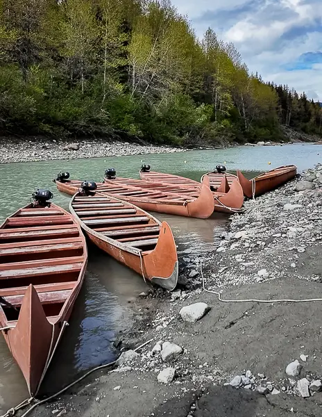 Large motor-assisted canoes lined up near the water for the canoe portion of the Glacier Point Wilderness Safari.