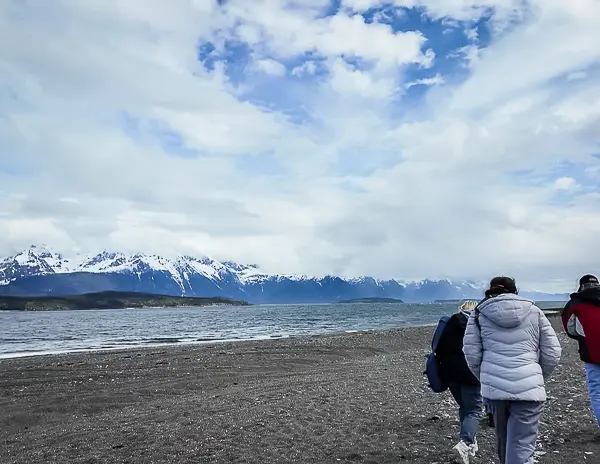 cruisers walking along the Glacier Point shoreline with snowcapped mountains across the water during the Davidson Glacier excursion.