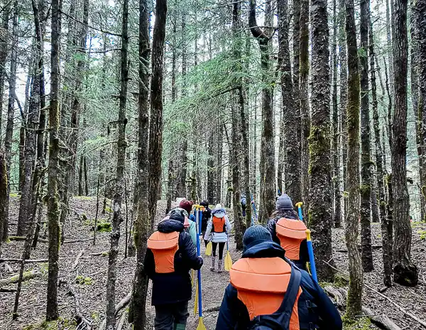 Tour guests / cruisers wearing life vests and carrying paddles on the forest trail during the Glacier Point Wilderness Safari from Skagway.