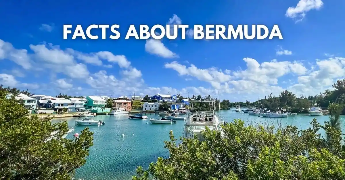 Bermuda waterfront with colorful buildings, boats, and turquoise water under a blue sky, with the text “Facts About Bermuda.”