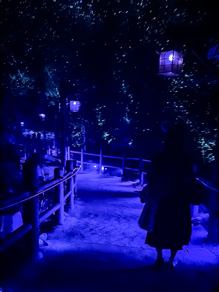 Guests walking along a blue-lit pathway with hanging lanterns and sparkling light effects inside Villains Grove at Disney California Adventure.